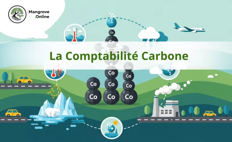 La Comptabilité Carbone